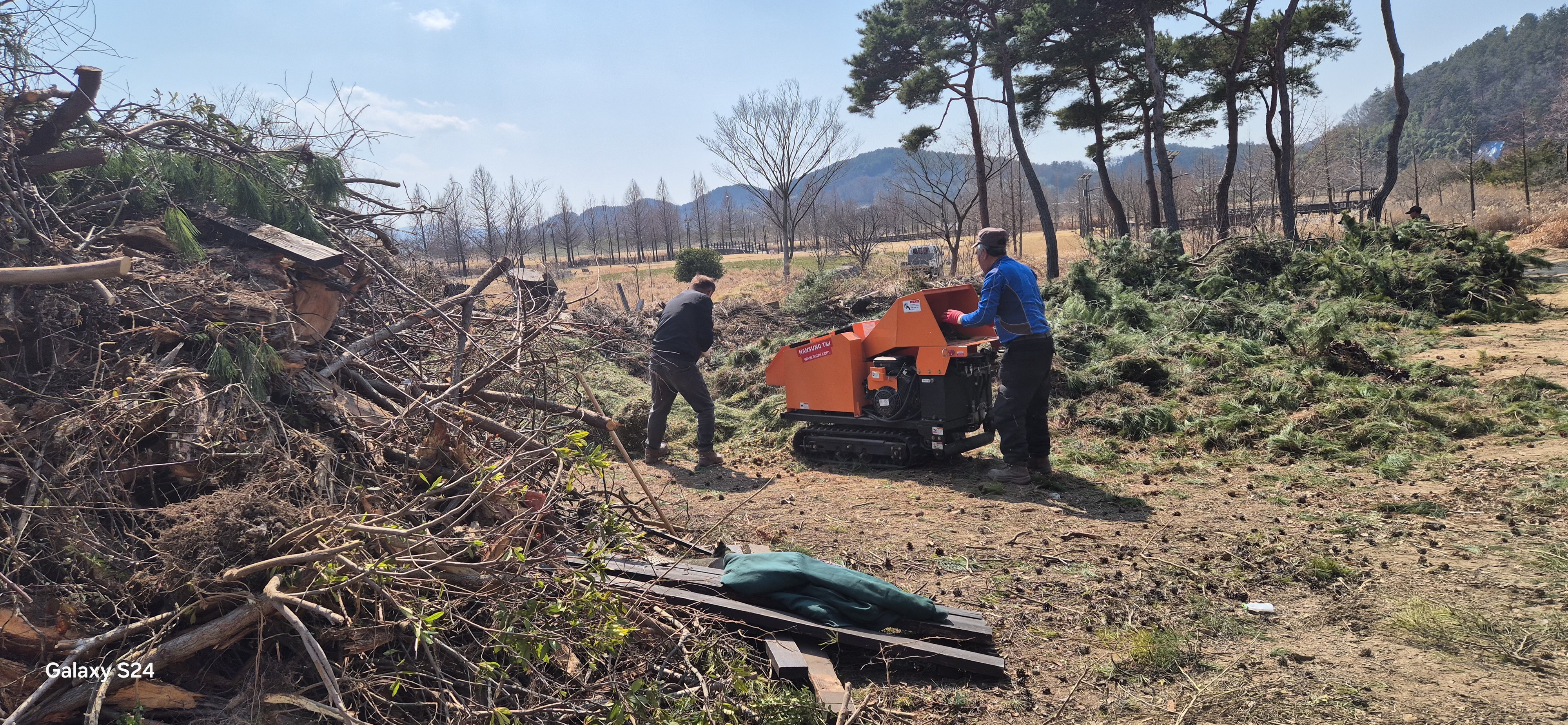 일부 임목폐기물은 현장에서 분쇄 처리되고 있다