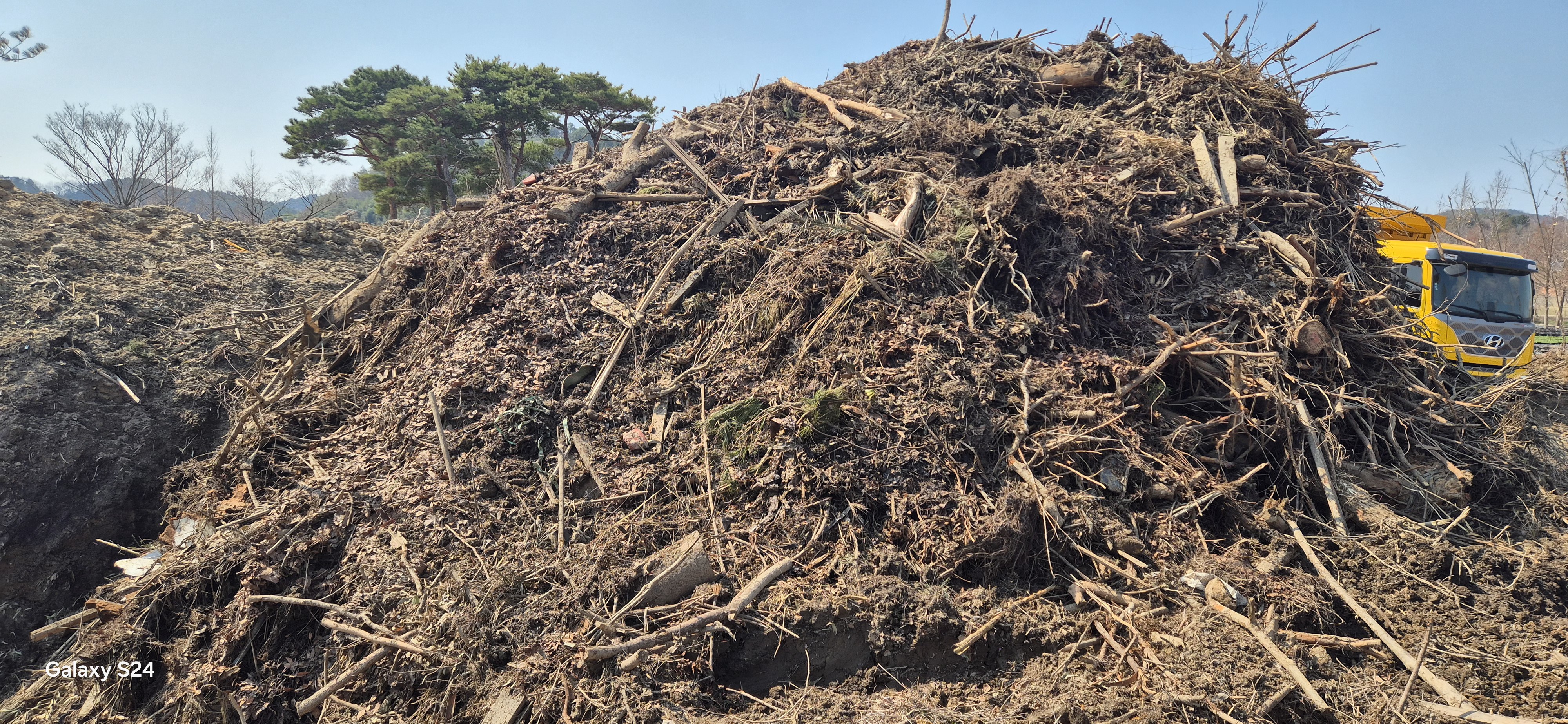 원상복구를 위해 파낸 임목폐기물 잔해가 토사와 섞여있다