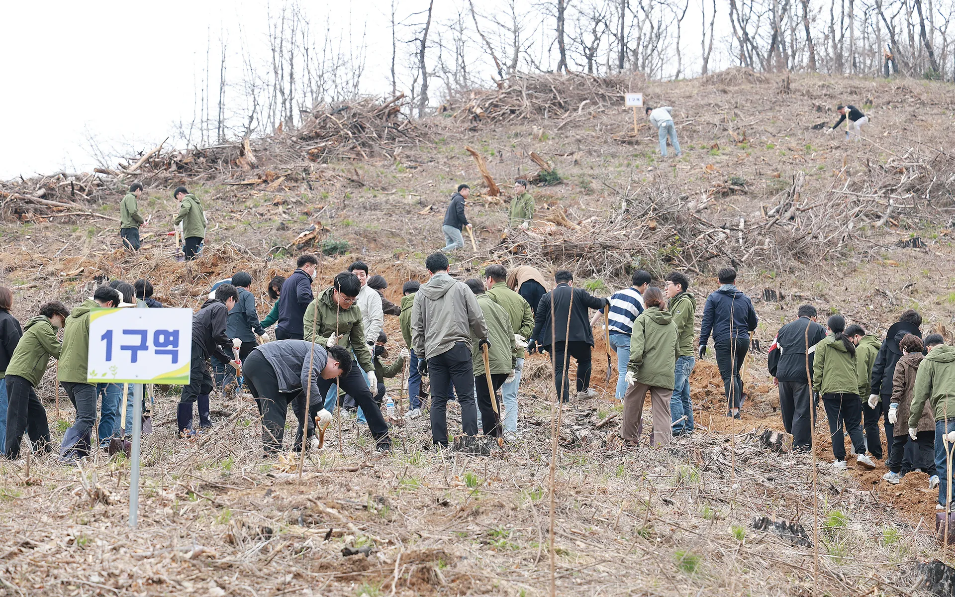 함평군, 제81회 식목일 맞아 산불 피해지 나무심기 행사 성료