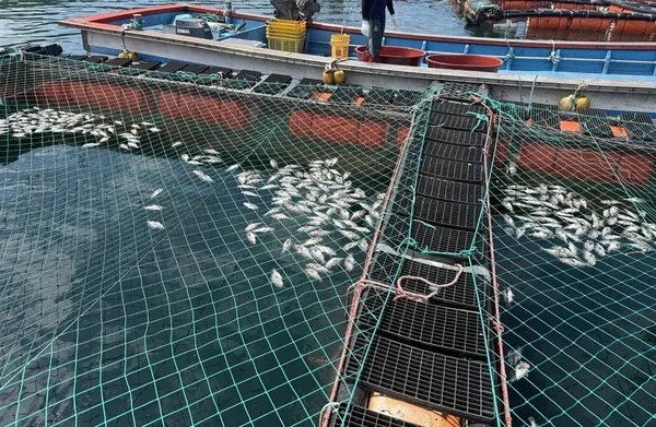 신안군, ‘기후변화 대응 시범양식 지원사업’ 공모 ...